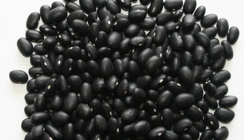 黑芸豆