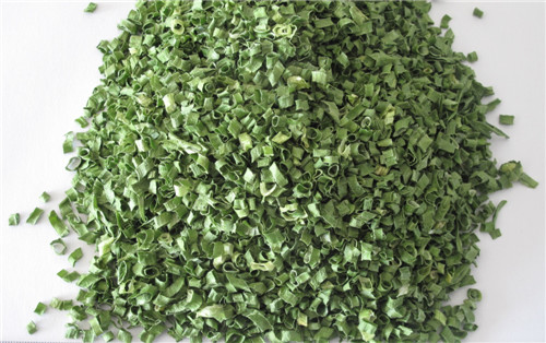 Dehydrated Chive Rolls-Chinese Variety