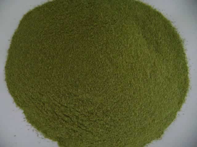 Dehydrated Green Bell Pepper Powder