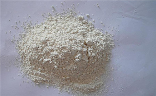 Dehydrated Horseradish Powder
