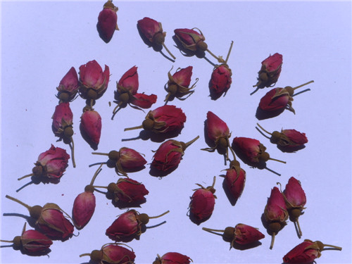 Dehydrated Rose Florets