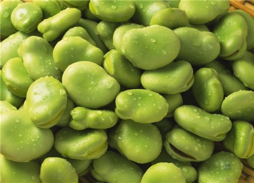 Frozen Broad Beans